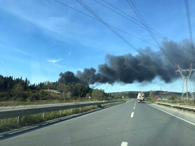 Son Dakika! Sakarya'da Kereste Fabrikasında Yangın Çıktı! Ekipler Müdahale Ediyor Sakarya'da Kereste Fabrikası Cayır Cayır Yandı