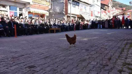 29 Ekim Törenine, Protokole Giren Tavuk Damga Vurdu