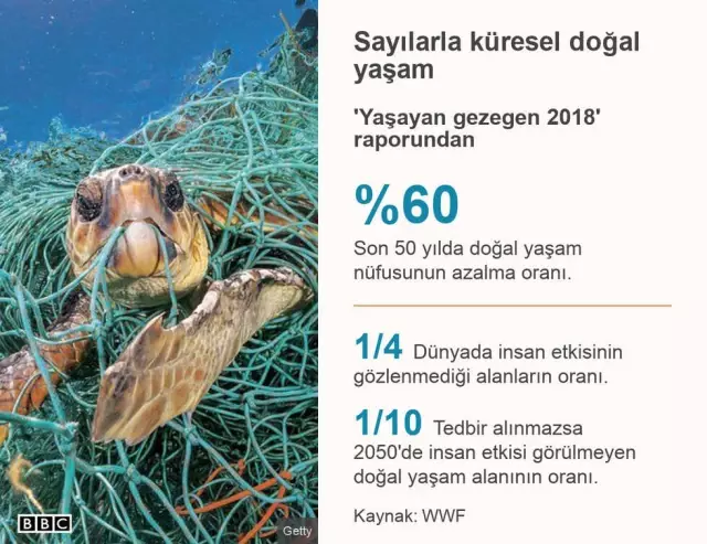 Son Yarım Asırda Doğal Yaşamın 'Yüzde 60'ı Yok Oldu'