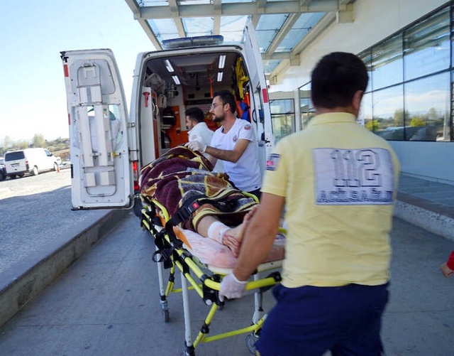Ormanlık Alanda Mantar Toplayan Vatandaşa, Ayı Saldırdı