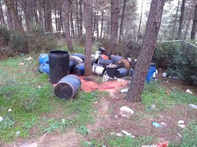 İstanbul'un Göbeğinde Korkutan Görüntü! Ormana Bırakılan Variller Endişe Yarattı