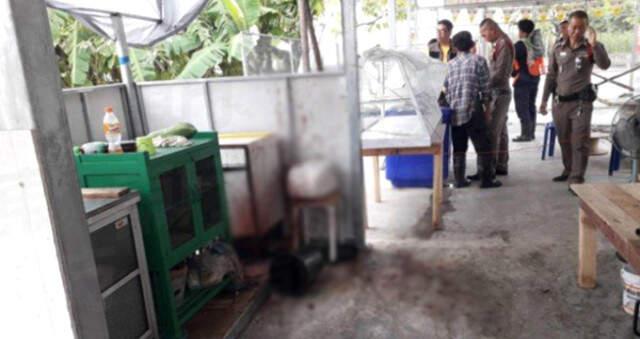 Vejetaryen Lokantasında, Müşteriyi Öldürüp Yemek Yapıp Sattılar