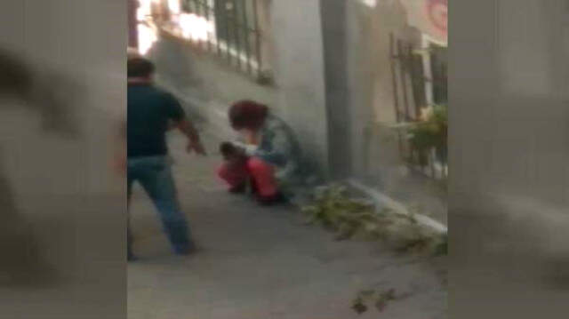 Pitbull Cinsi Köpek, Sokak Kedilerine Saldırdı! Korku Dolu Anlar Kameraya Yansıdı Pitbull Cinsi Köpek, Sokak Kedilerine Saldırdı! Korku Dolu Anlar Kameraya Yansıdı