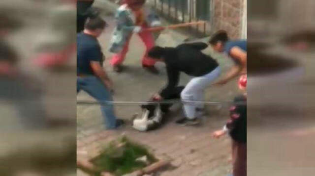 Pitbull Cinsi Köpek, Sokak Kedilerine Saldırdı! Korku Dolu Anlar Kameraya Yansıdı Pitbull Cinsi Köpek, Sokak Kedilerine Saldırdı! Korku Dolu Anlar Kameraya Yansıdı