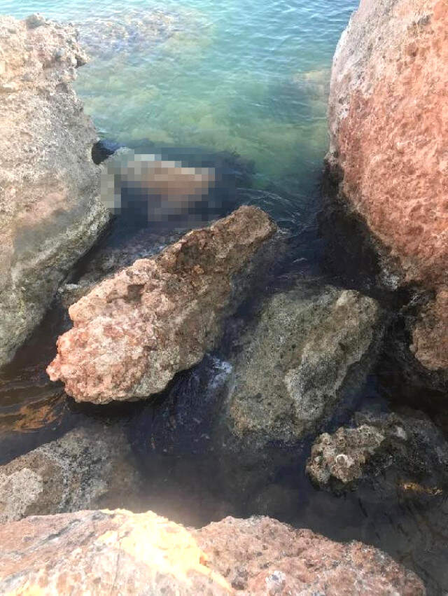 Didim'de, Deniz Kenarındaki Kayalıklarda Kadın Cesedi Bulundu