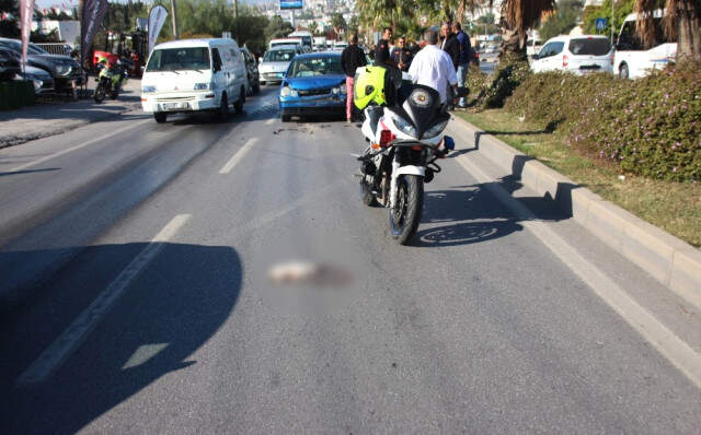 6 Aracın Kaza Yapmasına Neden Olan Kedi, Ezilmekten Kurtulamadı 6 Aracın Kaza Yapmasına Neden Olan Kedi, Ezilmekten Kurtulamadı