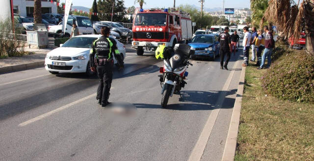 6 Aracın Kaza Yapmasına Neden Olan Kedi, Ezilmekten Kurtulamadı 6 Aracın Kaza Yapmasına Neden Olan Kedi, Ezilmekten Kurtulamadı
