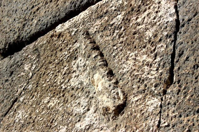 Askeri Gözetleme Kulesinde Herkül'ün Keole Kabartması Bulundu