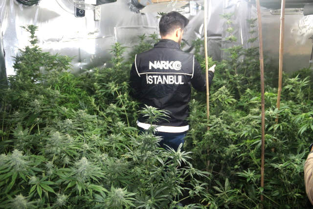İstanbul'da Lüks Villaya Uyuşturucu Operasyonu! 100 Kilo Hint Keneviri Ele Geçirildi İstanbul'da Lüks Villaya Uyuşturucu Operasyonu! 100 Kilo Hint Keneviri Ele Geçirildi