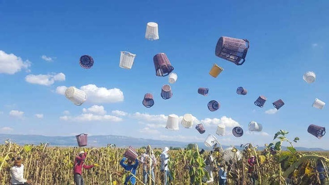 Mevsimlik İşçiler, İş Bitimini Havaya Kova Atarak Kutladı