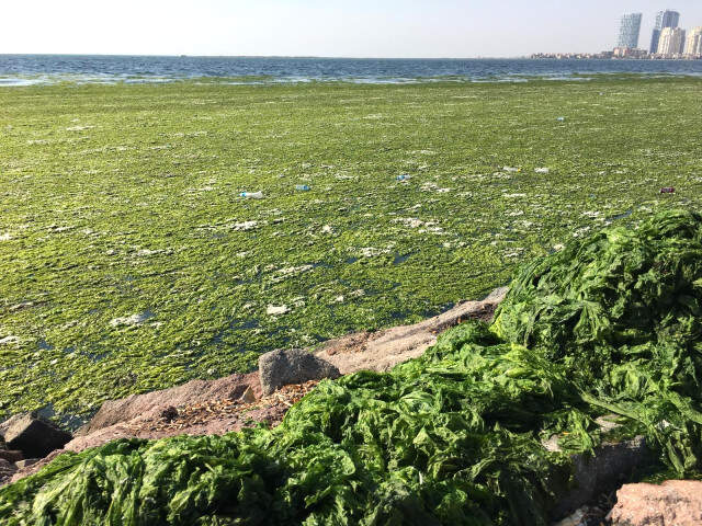 İzmir Körfezi'nde Denize Bakan Vatandaşların, Gördüğü Manzara Karşısında Dili Tutuldu İzmir Körfezi'nde Denizdeki Ürküten Manzarayı Gören Vatandaşlar Telefonuna Sarıldı!