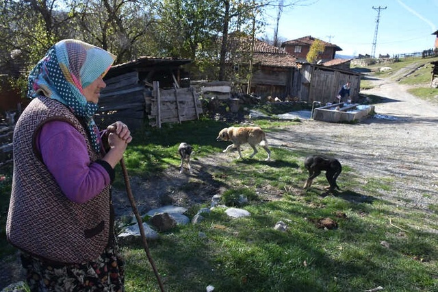 Uyuz ve Hastalıklı Köpeklerin Bastığı Köyde, Çocukların Dışarı Çıkması Yasaklandı