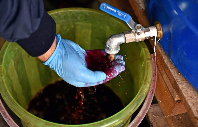Sahte İçki Operasyonu Sahte İçki Operasyonunda 8 Bin Litre Sahte Şarap Ele Geçirildi