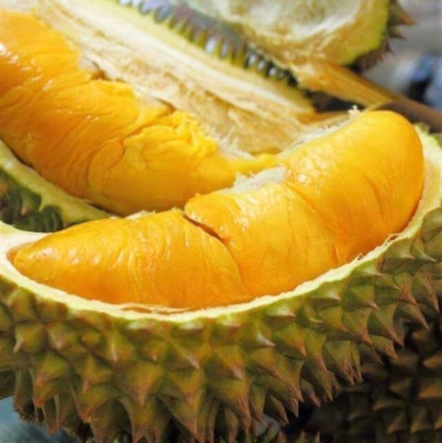 Kötü Kokusuyla Bilinen Durian Meyvesi, Uçağa Rötar Yaptırdı
