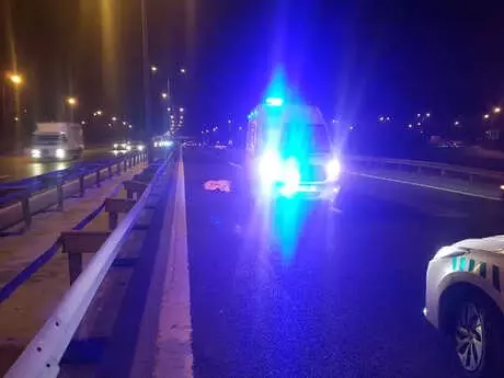 TEM'de Korkunç Kaza: 100 Metrelik Alanda Ceset Parçaları Toplandı!