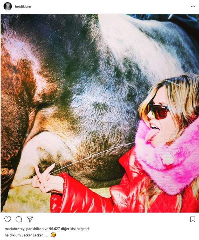 Çıplak Pozlarıyla Gündem Olan Ünlü Model Heidi Klum, İneğin Memesinden Süt Emdi