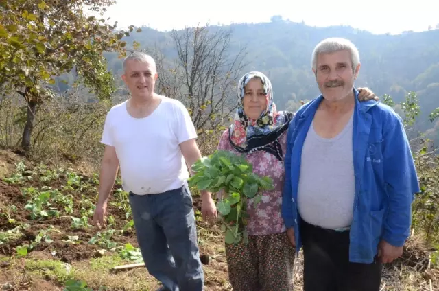 Ordu'da Şaşırtan Olay! 135 Haneli Mahallede Yaşayan 500 Kişinin Soyadı Aynı