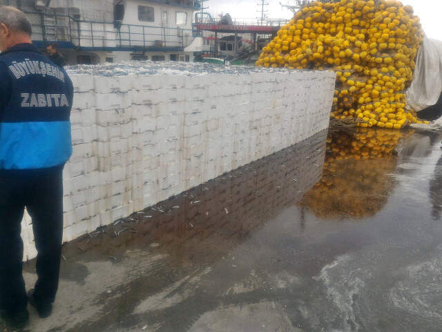 Balık Halindeki Denetimlerde 22 Ton Balığa El Konuldu Balık Halinde Boy Denetimine Uymayan 22 Ton Balığa El Konuldu
