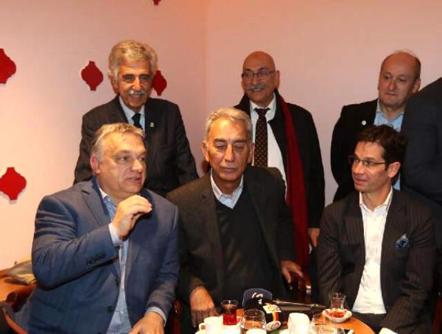 Adnan Polat: Galatasaray'a Başkan Adayı Olmak Gibi Bir Düşüncem Yok