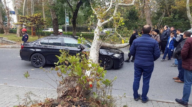Seyir Halindeki Aracın Üzerine Ağaç Devrildi, Anne ve Oğlu Ölümden Döndü