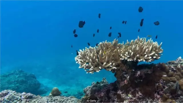 İklim Değişikliği Konusunda Adım Atmayı Sağlayacak Fotoğraflar