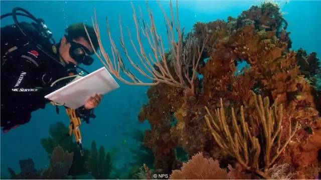 İklim Değişikliği Konusunda Adım Atmayı Sağlayacak Fotoğraflar