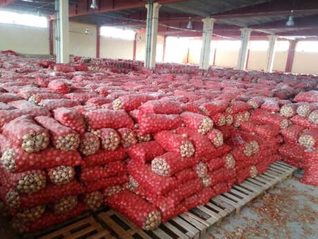 Ankara'da Su Deposunda Stoklanmış bin 300 Ton Kuru Soğan Bulundu