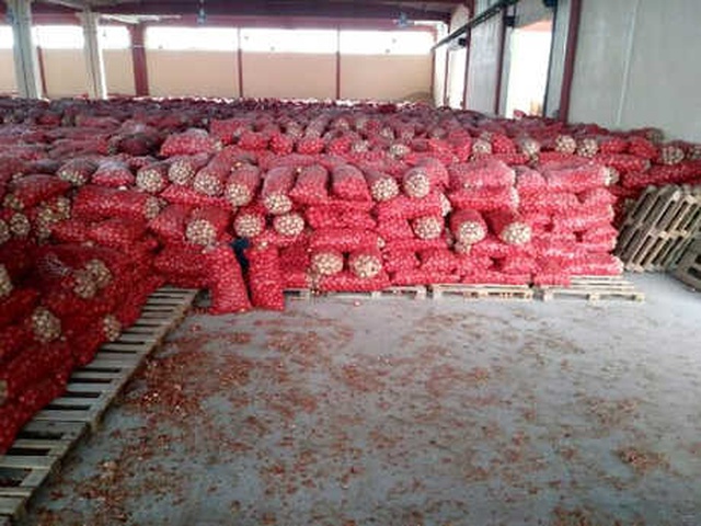 Ankara'da Su Deposunda Stoklanmış bin 300 Ton Kuru Soğan Bulundu