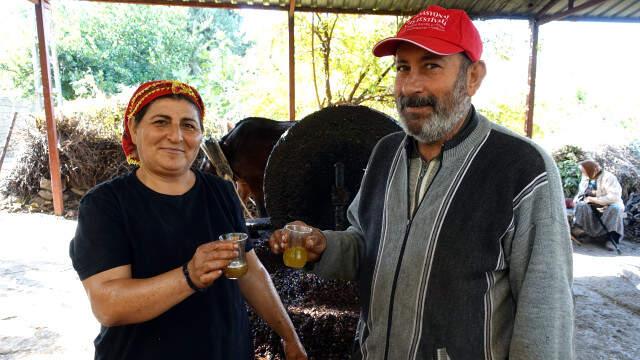 Beygir Gücüyle Elde Edilen Zeytinyağının Kilosu 50 TL'den Yurt Dışına Gönderiliyor