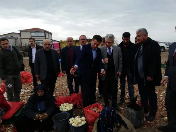CHP Heyeti, Polatlı'da Bulunan Soğan Depolarını Gezdi