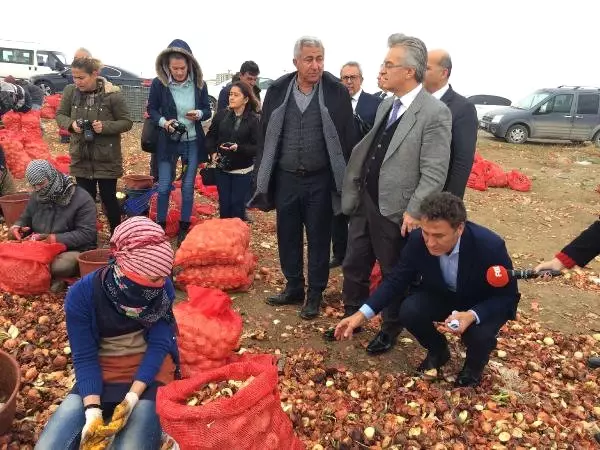 CHP Heyeti, Polatlı'da Bulunan Soğan Depolarını Gezdi