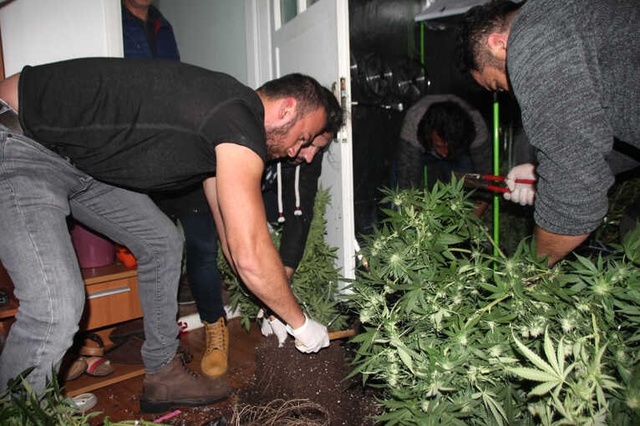 Polisin Baskın Yaptığı Lüks Villa, Uyuşturucu Serası Çıktı