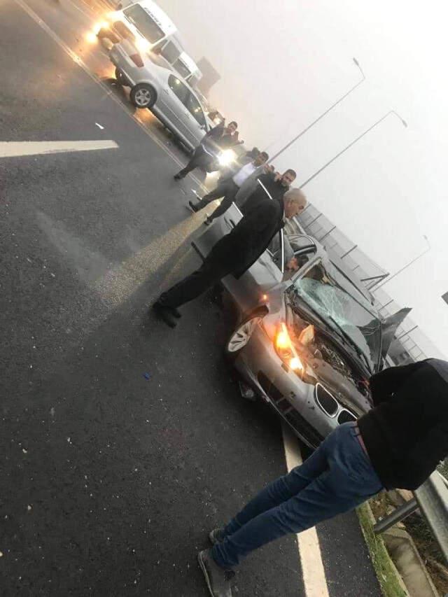 Karayolunda Akla Zarar Kaza! TIR'dan Düşen İneğe 2 Otomobil Çarptı Karayolunda Akla Zarar Kaza! TIR'dan Düşen İneğe 2 Otomobil Çarptı