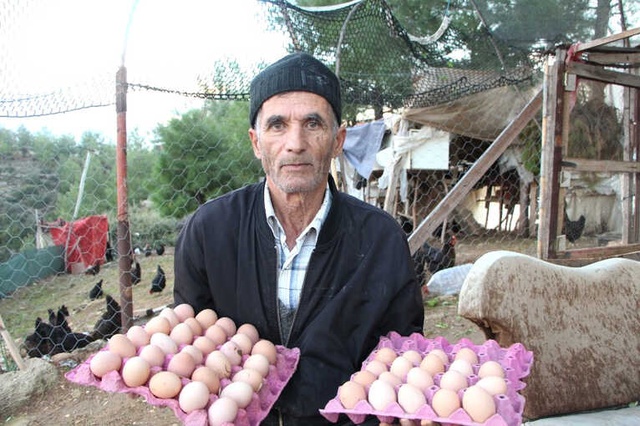 Son Maaşıyla Tavuk Çiftliği Kuran Girişimci, Taleplere Yetişemiyor