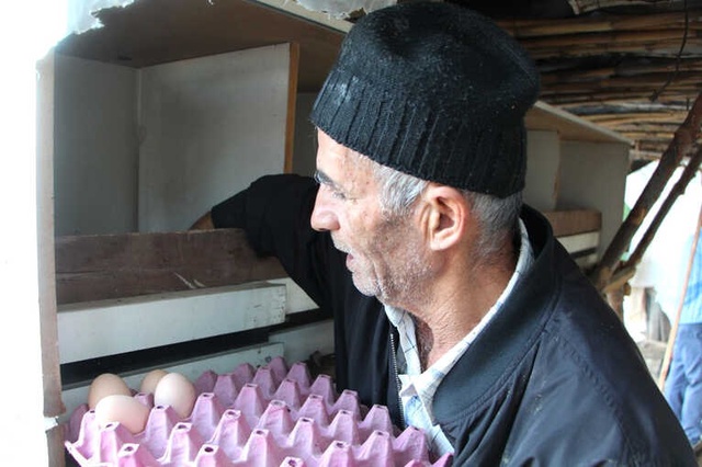 Son Maaşıyla Tavuk Çiftliği Kuran Girişimci, Taleplere Yetişemiyor