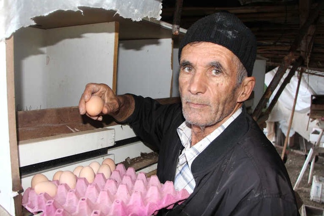 Son Maaşıyla Tavuk Çiftliği Kuran Girişimci, Taleplere Yetişemiyor