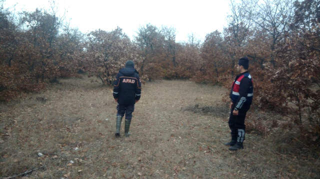 Domuzdan Korkunca Ormanlık Alanda Geceyi Ağaç Üzerinde Geçirdi Ormanlık Alanda Karşılatığı Domuzdan Korkan Yaşlı Adam Geceyi Ağaç Üzerinde Geçirdi