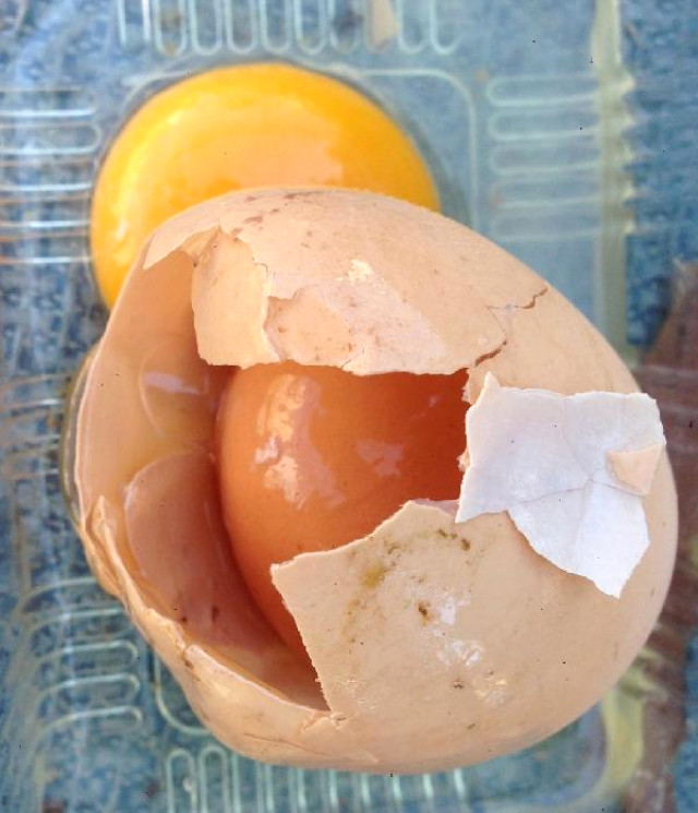 Erzurumlu Vatandaşın Kırdığı Yumurtanın İçinden Yumurta Çıktı
