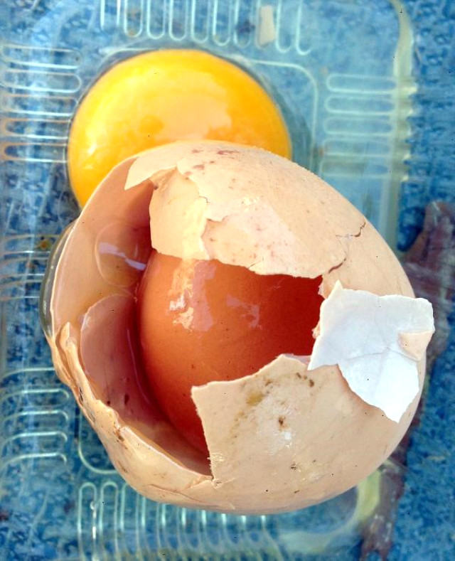 Erzurumlu Vatandaşın Kırdığı Yumurtanın İçinden Yumurta Çıktı