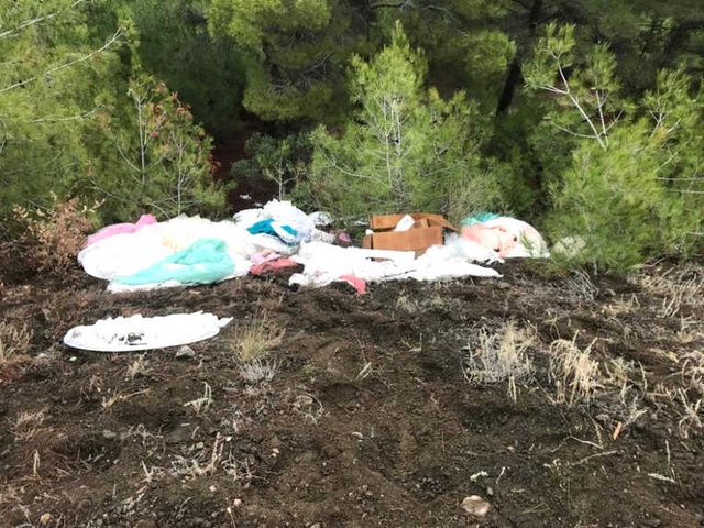 Bir Garip Olay! Vatandaşlar, Ağaçlardan Gelinlik Topladı