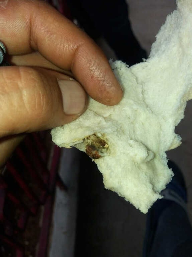 Ekmekten Çıkan Cisim, Şaşkınlığa Uğrattı