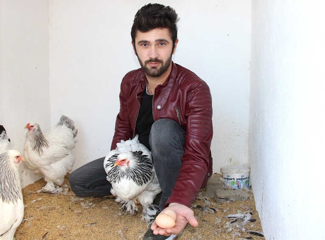 Süs Tavuğuna Merak Salan Genç, Yumurtanın Tanesini 40 TL'den Satıyor