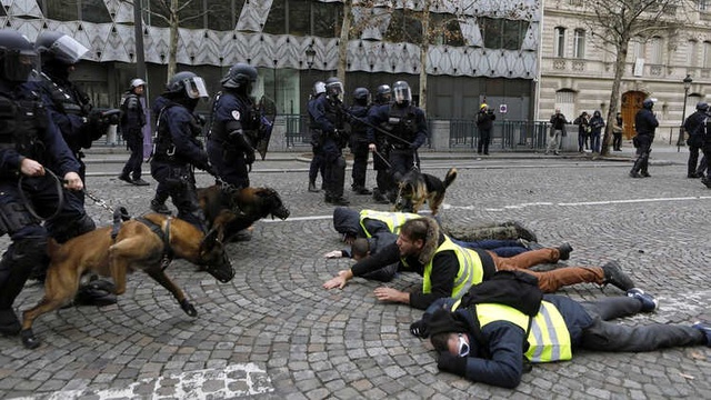 Sarı Yelekliler İsyanı: 'Küçük İnsanlar' Macron'a Nasıl Geri Adım Attırdı?