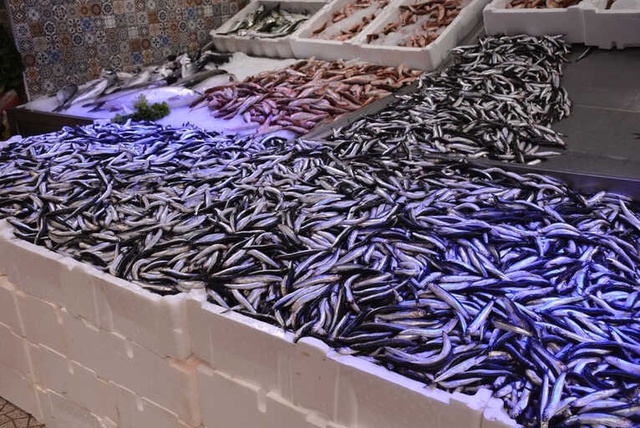 Karadeniz'de Hamsi Azalınca Fiyatlar 12,5 Liraya Çıktı