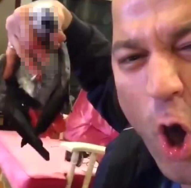 Murat Özdemir'in İşkence Uyguladığı Papağanı Koruma Altına Alındı