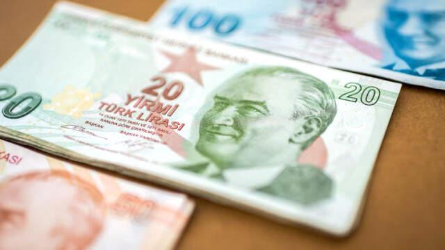 Yeni 20 TL'lik Banknotlar 24 Aralık'ta Tedavüle Girecek