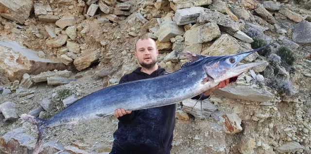 Balık Avına Çıkan Vatandaş, Oltayla 21 Kiloluk Kılıç Balığı Yakaladı