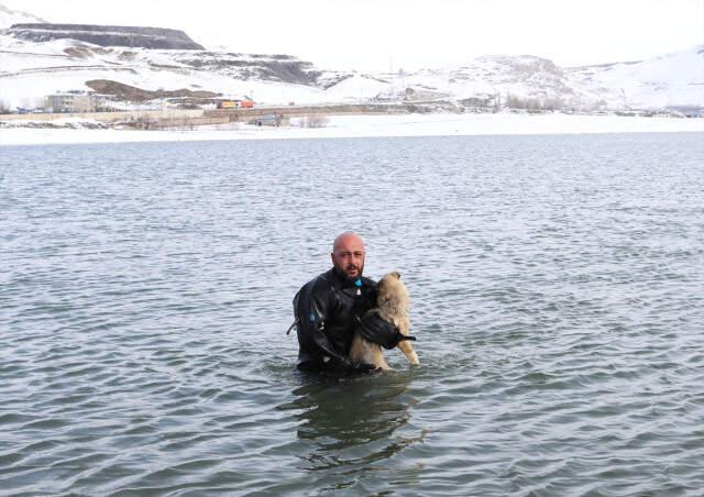 Dalgıç Polis, Buzları Kırıp Donmak Üzere Olan Köpeği Kurtardı