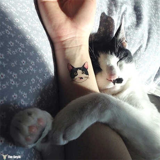 Kedi İnsanlarını Kendine Aşık Edecek 20 Kedili Dövme Önerisi