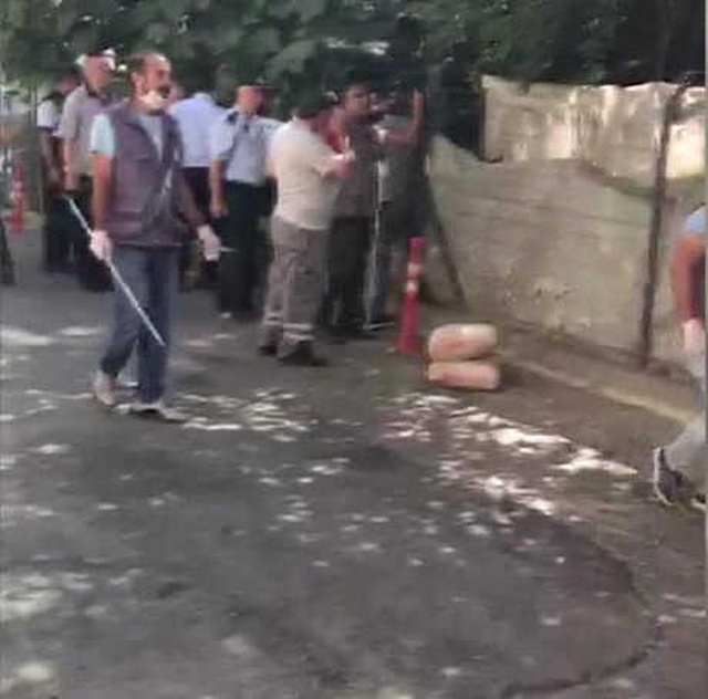 Mahallede Korku Saçıyorlardı! Köpekler Toplatıldı, Sahibi Gözaltına Alındı